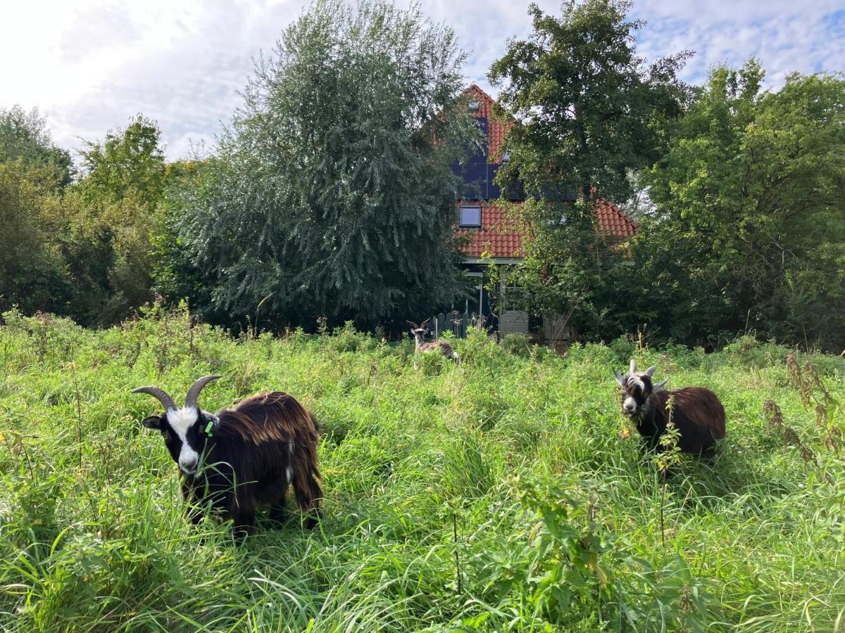 Inn Het Nest Amsterdam Ngoại thất bức ảnh